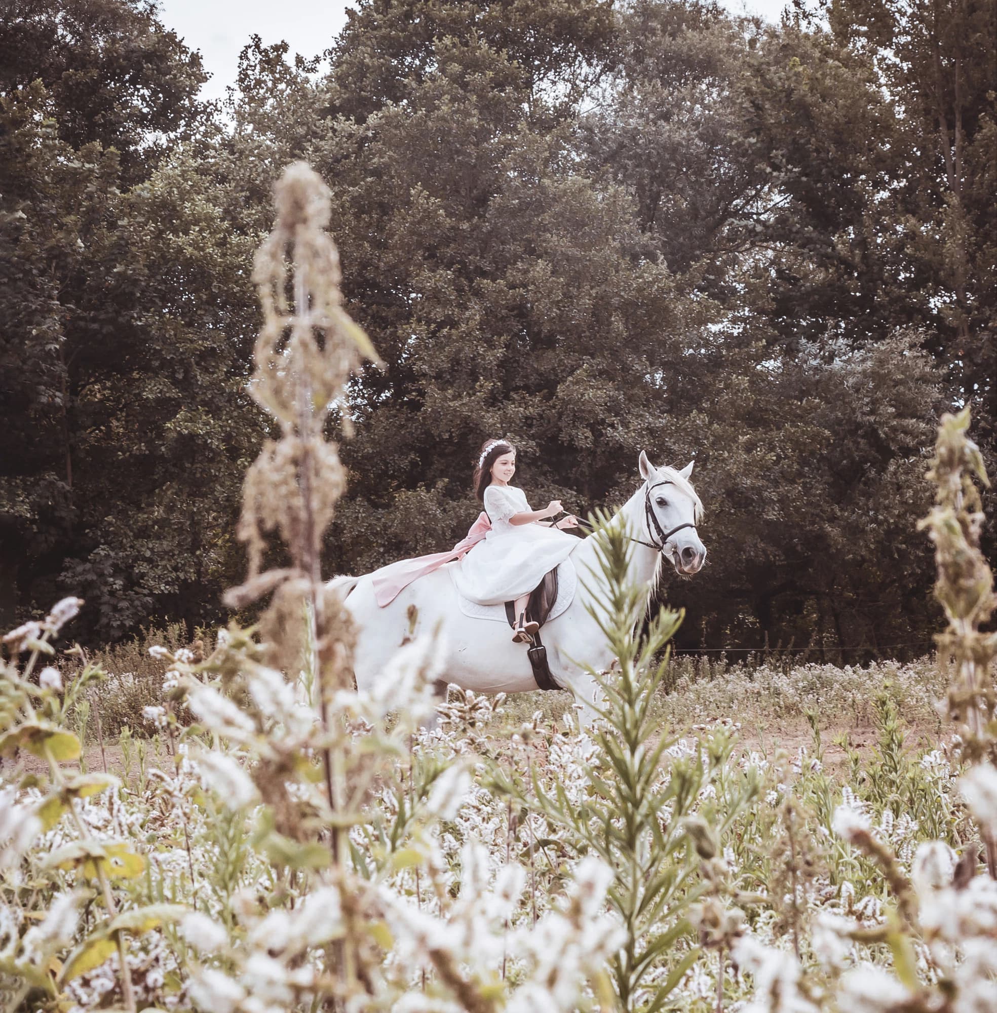 Fotografía de comunión — Colomer Fotógrafos
